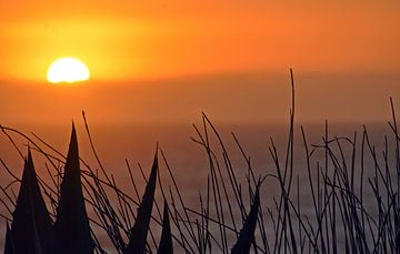 un magnifique coucher de soleil sur Werner Lehmann