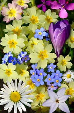 Collage aus Frühlingsblumen von Corinne Welp