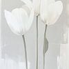 witte Tulpen van Caroline Guerain
