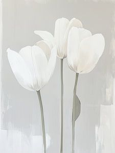 witte Tulpen