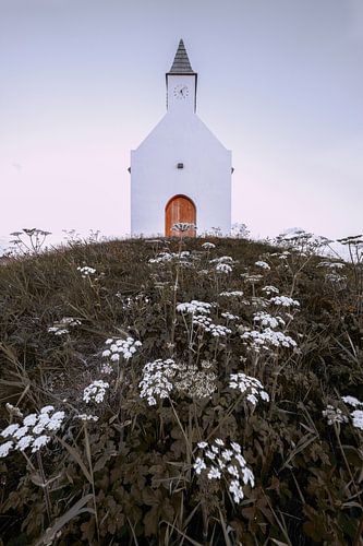De terp van Leidschenveen
