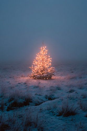 Kerstmis in de mist
