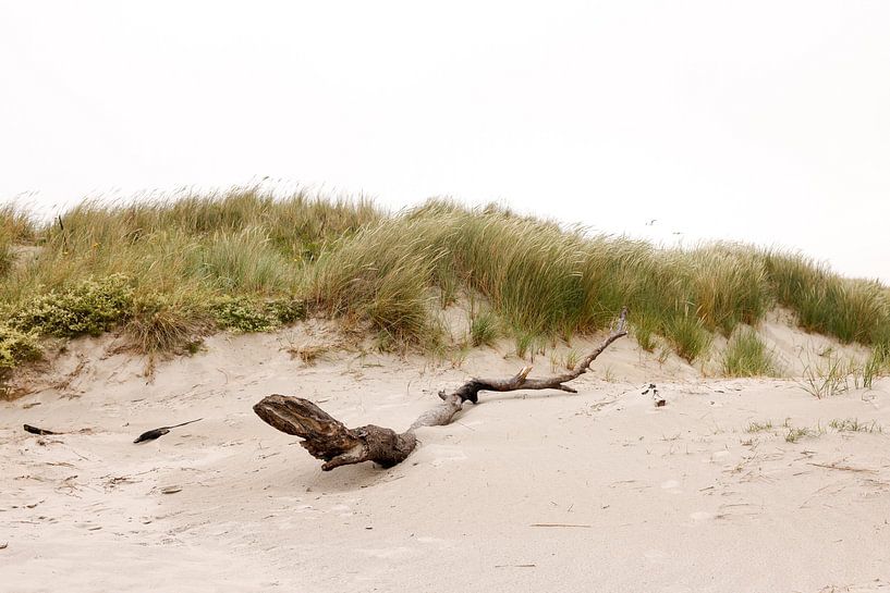 Dunes sur l'île néerlandaise des Wadden d'Ameland, près de Hollum. par Ans van Heck