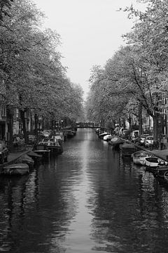 Amsterdamse Grachten van Pascal Lemlijn