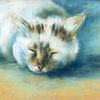 Schlafende getigerte Katze von Karen Kaspar