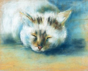 Schlafende getigerte Katze