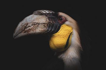 Mannetje | Portret Gewone Jaarvogel van Elena ten Brink