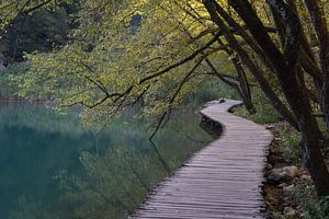 Ein Holzbohlenweg im Nationalpark Plitvicer Seen
