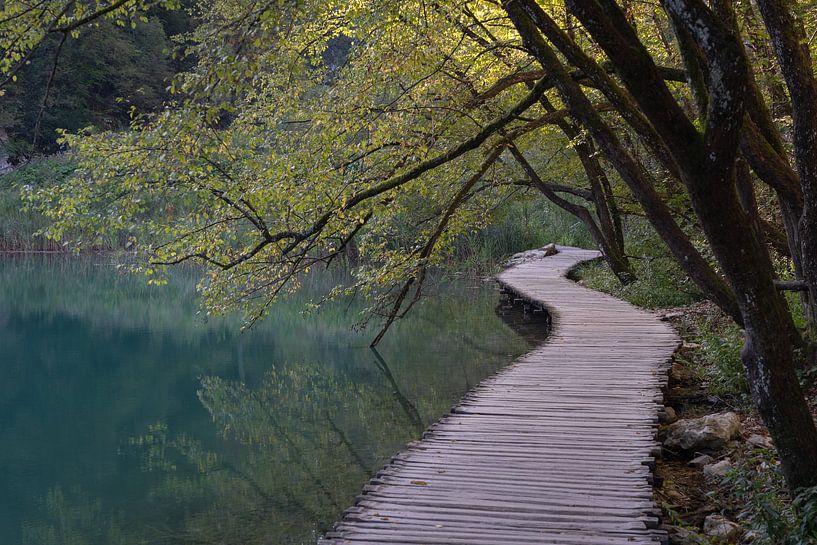 Un chemin de planches en bois dans le parc national des lacs de Plitvice par Anges van der Logt