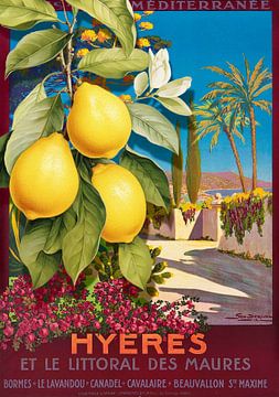 Citrons de la Méditerranée van Marja van den Hurk