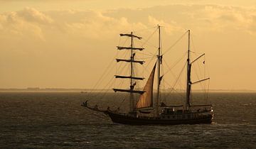 Sailing ship at Oosterschelde by MSP Canvas