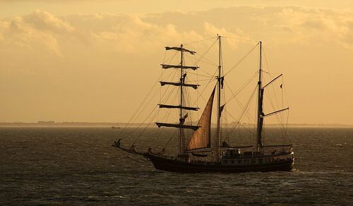 Voilier en Oosterschelde