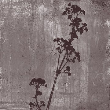 Botanische illustratie in retrostijl in donker taupe van Dina Dankers