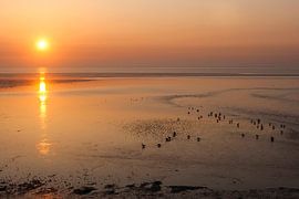 Sonnenaufgang über dem Wattenmeer auf Texel von Beschermingswerk voor aan uw muur