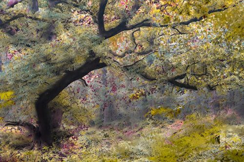 Wolfhezerheide part 134