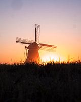 Mill in the fog with the rising sun