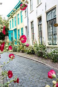 Een kleurrijk straatje in Deventer met een doorkijkje vanuit bloemen van Bianca ter Riet