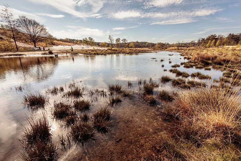 Roode Beek @ Brunssummerheide by Rob Boon