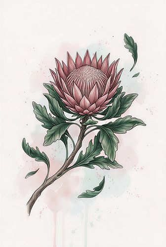 Elegant Protea Watercolor Botanical Art Print