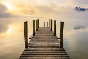 Matin doré au lac Forggensee
