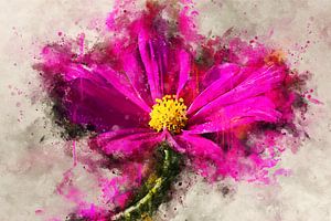 Pink flower