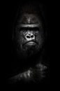 face and powerful hand in the dark. Portrait of a powerful dominant male gorilla (physiognomy), ster by Michael Semenov thumbnail
