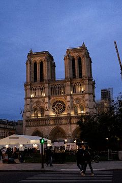 Notre-Dame | Parijs | Frankrijk Reisfotografie van Dohi Media