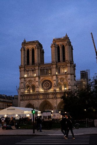 Notre-Dame | Parijs | Frankrijk Reisfotografie