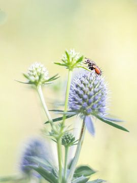 Vintage natuur