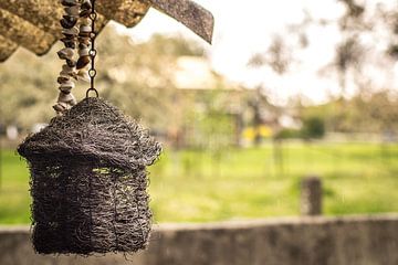 Feeling of spring. by Jeroen Baauw