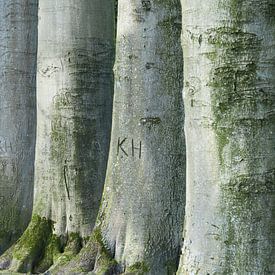 Bomen / boom en boomstam met letters KH en mos in het groen  van Aart Hoeven / Dutch Image Hunter