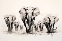 Herd of elephants
