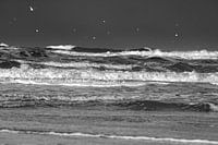 Noordzee storm golven.