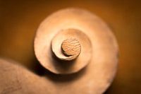 Krullen en spiralen