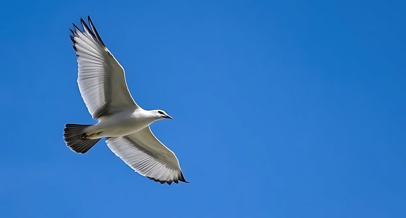Flug nach List von Stilbeeld Studio