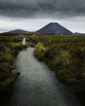 Tongariro vulkaan - Nieuw Zeeland