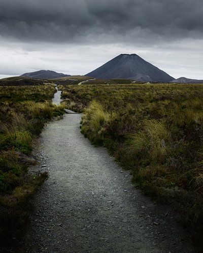 Tongariro Vulcano - New Zealand