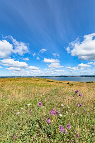 Groß Zicker, Blick in die Hagensche Wiek und Reedevitzer Höft, Rügen von GH Foto & Artdesign