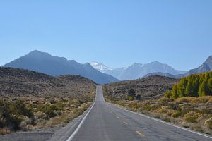 Tioga Pass in Richtung Yosemite National Park