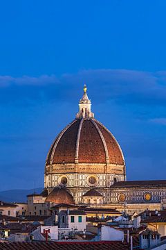 View of the Cathedral of Santa Maria del Fiore at blue hour by Rico Ködder