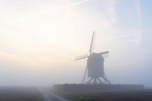 Brume matinale au moulin dans le champ