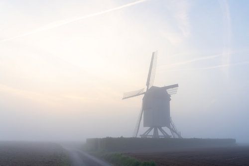 Ochtend mist aan de molen in het veld