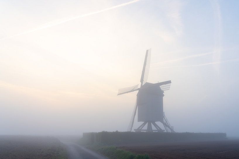 Morgennebel an der Mühle auf dem Feld von Marcel Derweduwen