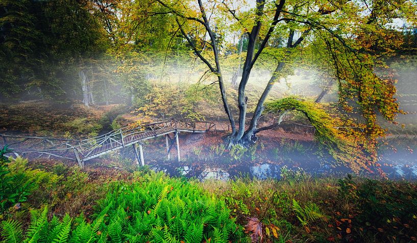 Panorama in elswout by peterheinspictures