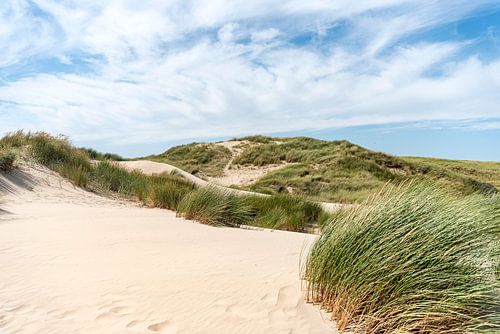 The rustling of marram grass