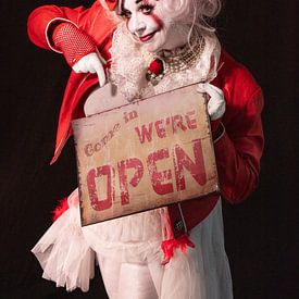Clown, We are Open van Danny van Kolck