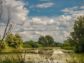 ooijpolder van Hans Hendriks
