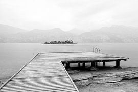 Leave by Thomas Herzog