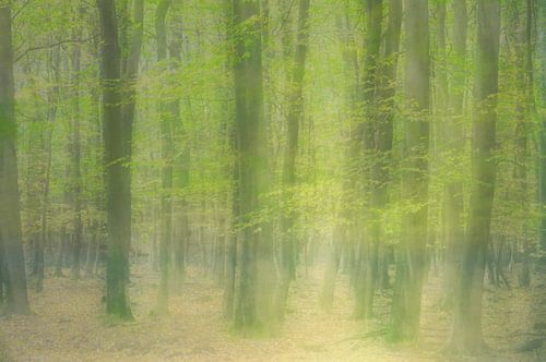 Schwankender Einzug des Herbstes