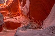 Onaardse schoonheid van Antelope Canyon van Jonathan Vandevoorde thumbnail